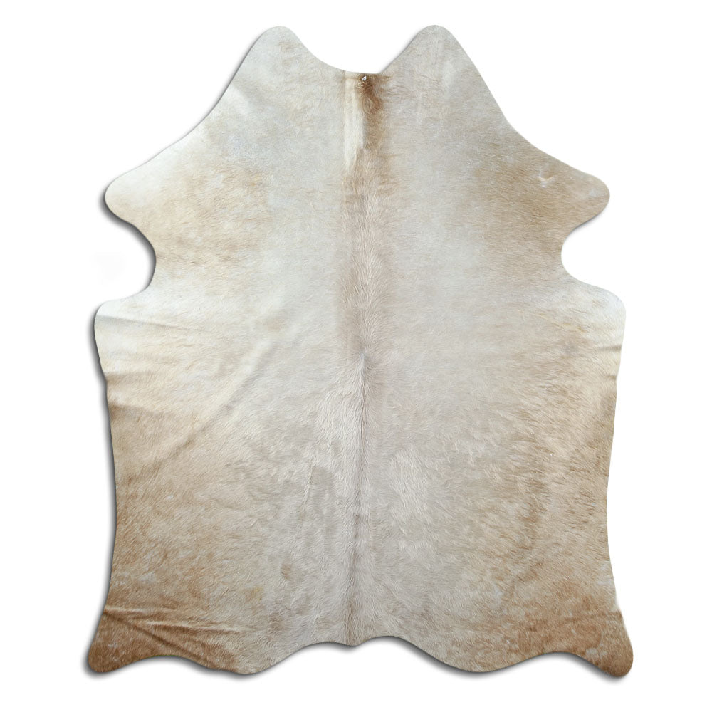 Champagnerfarbenes Kuhfell, ca. 170 × 150 cm, von oben fotografiert: genau das Fell, das Sie erhalten
