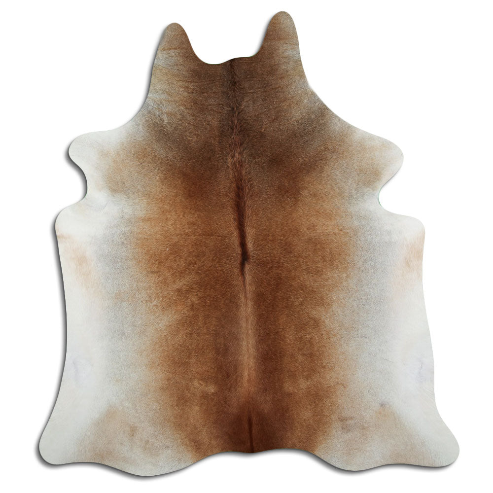 Tan Grey Kuhfell XL