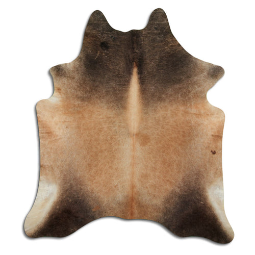 Champagner Kuhfell XXL