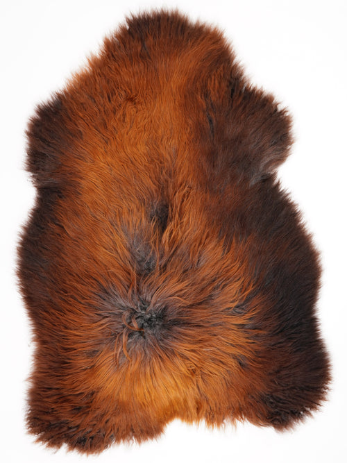 Isländisches Schaffell Rusty XXL