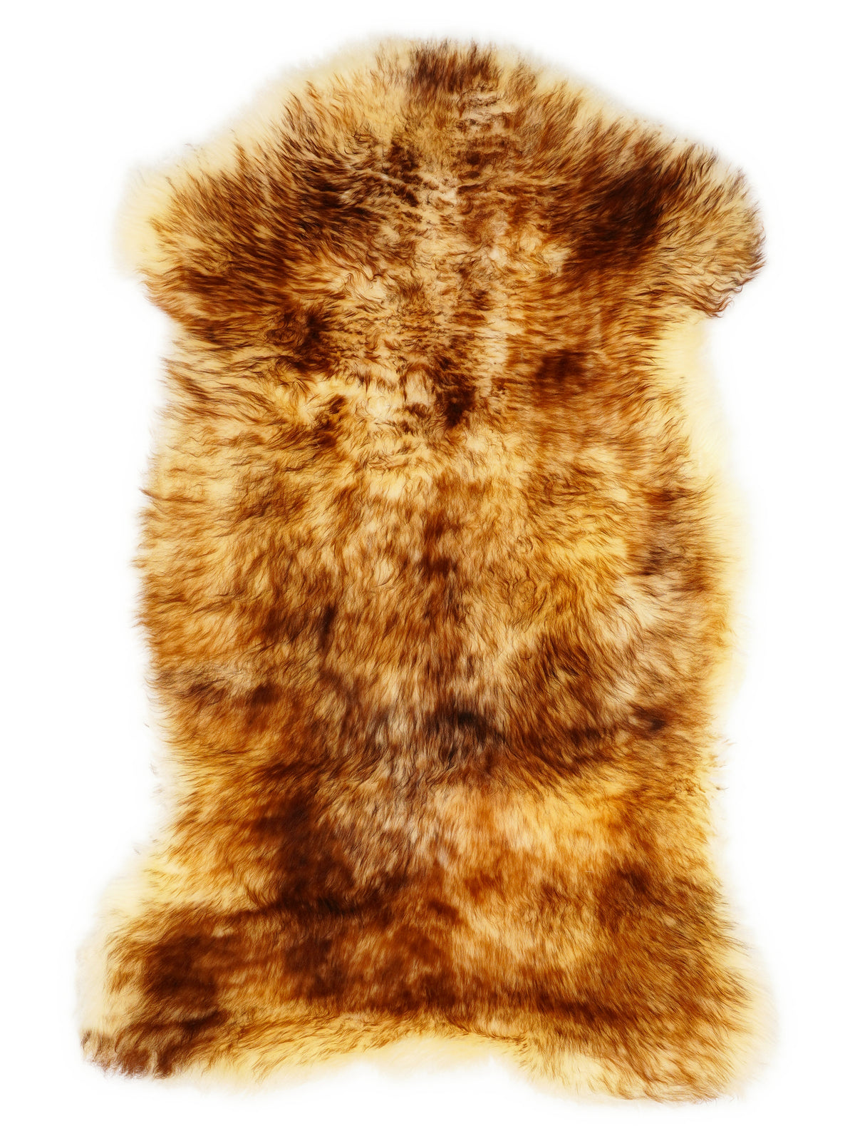 Mufflon-Lammfell, ca. 110 × 60 cm, von oben fotografiert: genau das Fell, das Sie erhalten