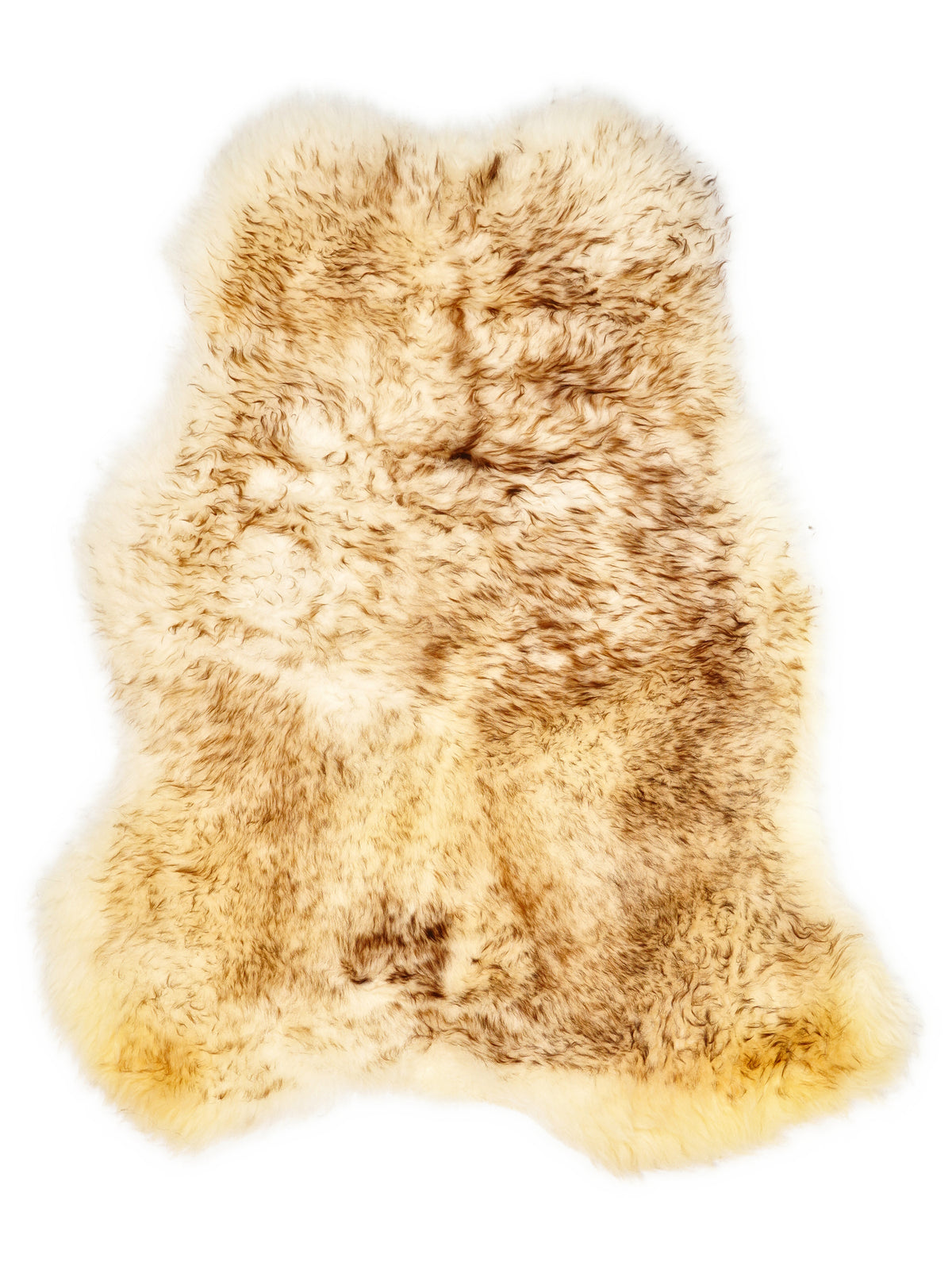 Mufflon-Lammfell, ca. 110 × 70 cm, von oben fotografiert: genau das Fell, das Sie erhalten