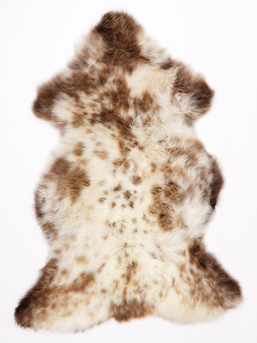 ML00081