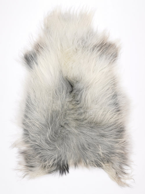 NM00084