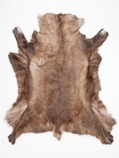 OX00019