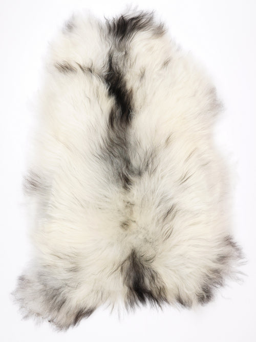 NM00082