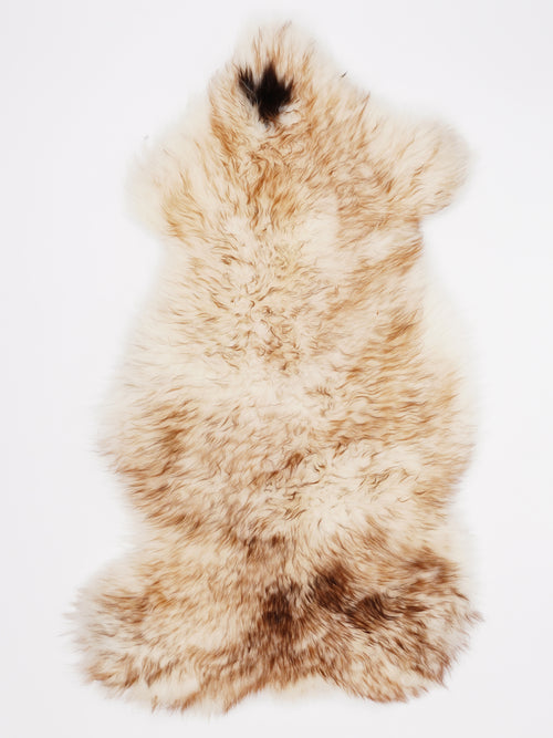 OX00015