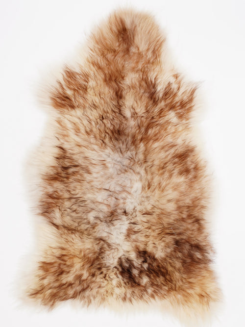 OX00017
