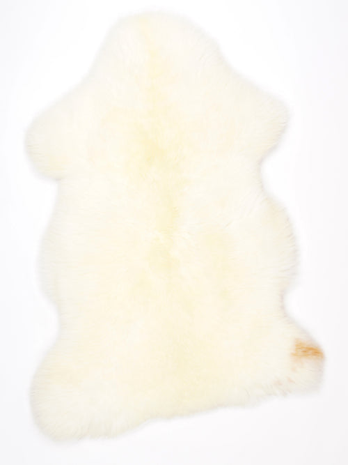 NF00056
