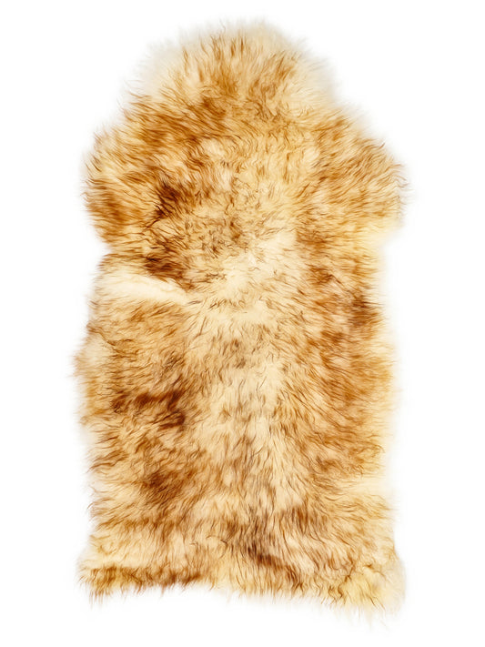Mufflon-Lammfell, ca. 120 × 60 cm, von oben fotografiert: genau das Fell, das Sie erhalten
