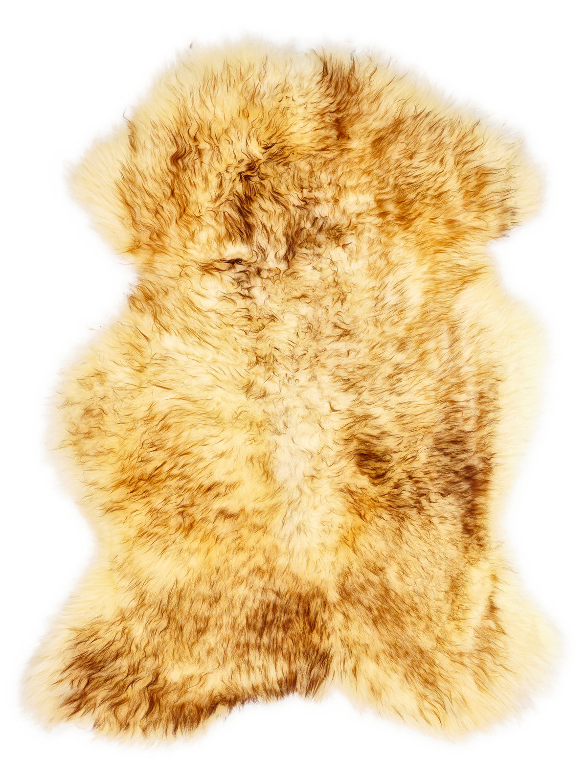 Mufflon-Lammfell, ca. 100 × 70 cm, von oben fotografiert: genau das Fell, das Sie erhalten