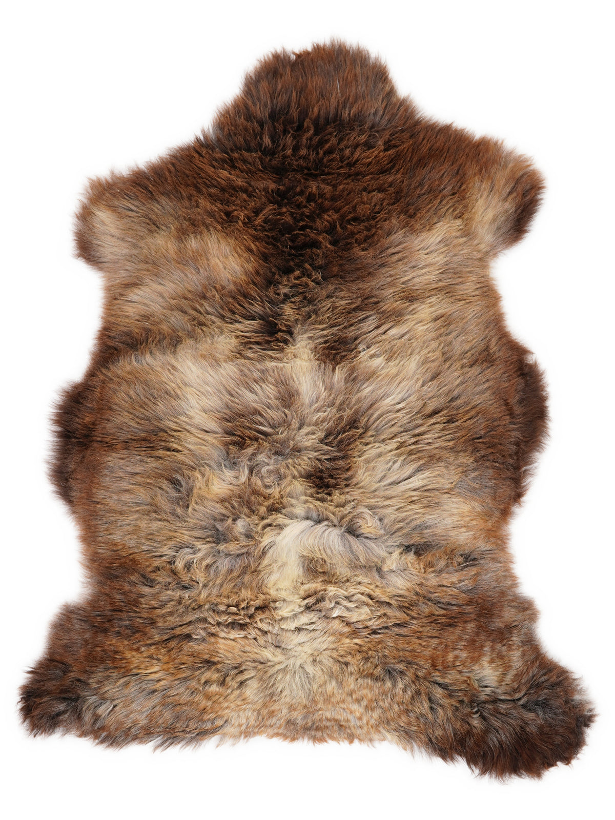 Mehrfarbiges britisches Lammfell, ca. 110 × 70 cm, von oben fotografiert: genau das Fell, das Sie erhalten