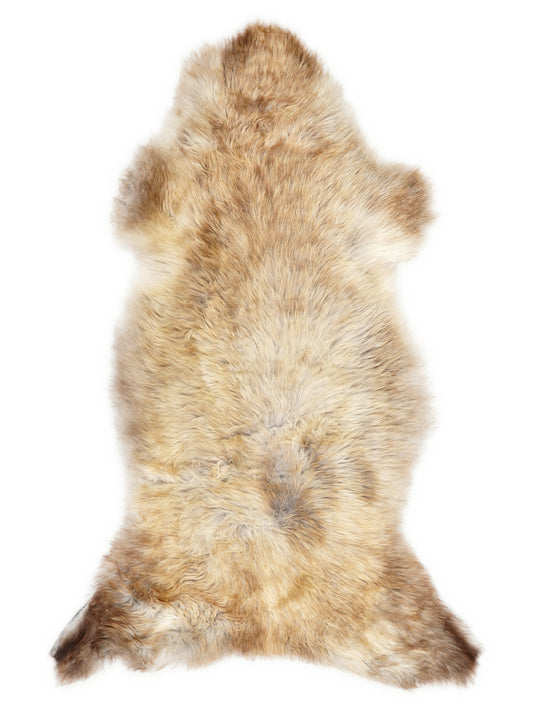 Mehrfarbiges britisches Lammfell, ca. 125 × 60 cm, von oben fotografiert: genau das Fell, das Sie erhalten