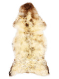 Mehrfarbiges britisches Lammfell, ca. 120 × 50 cm, von oben fotografiert: genau das Fell, das Sie erhalten