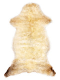 Mehrfarbiges britisches Lammfell, ca. 110 × 55 cm, von oben fotografiert: genau das Fell, das Sie erhalten