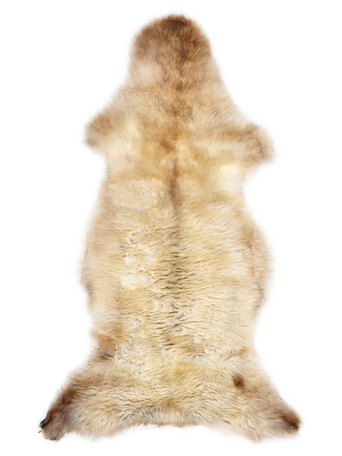 Mehrfarbiges britisches Lammfell, ca. 130 × 55 cm, von oben fotografiert: genau das Fell, das Sie erhalten