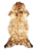 Mehrfarbiges britisches Lammfell, ca. 120 × 55 cm, von oben fotografiert: genau das Fell, das Sie erhalten