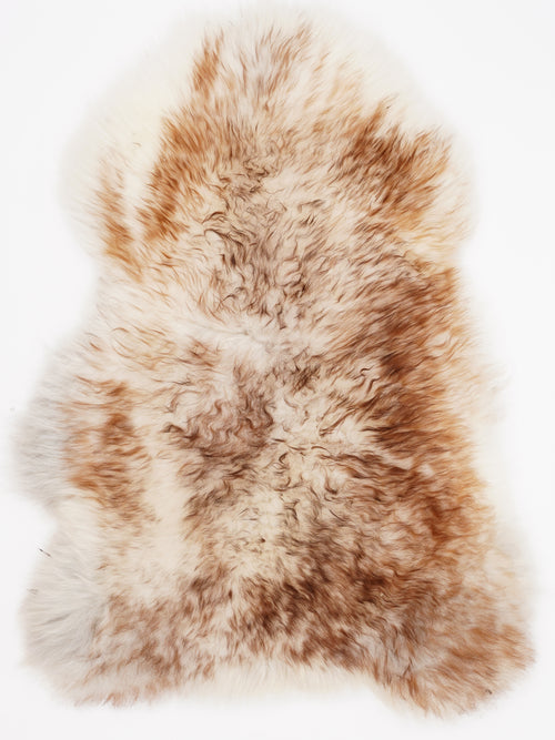 OX00016