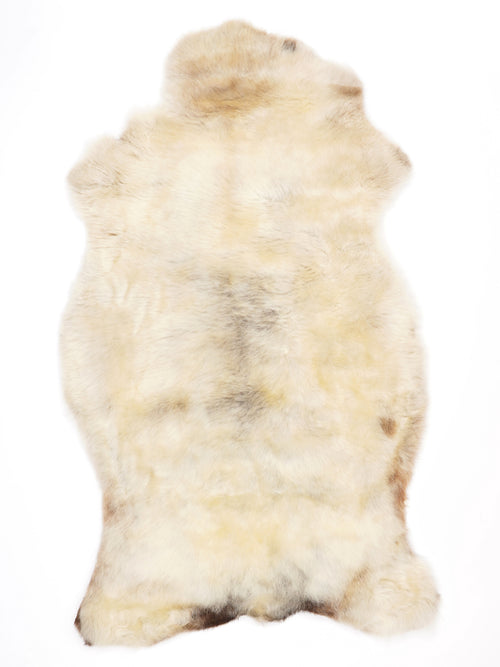 NC00084